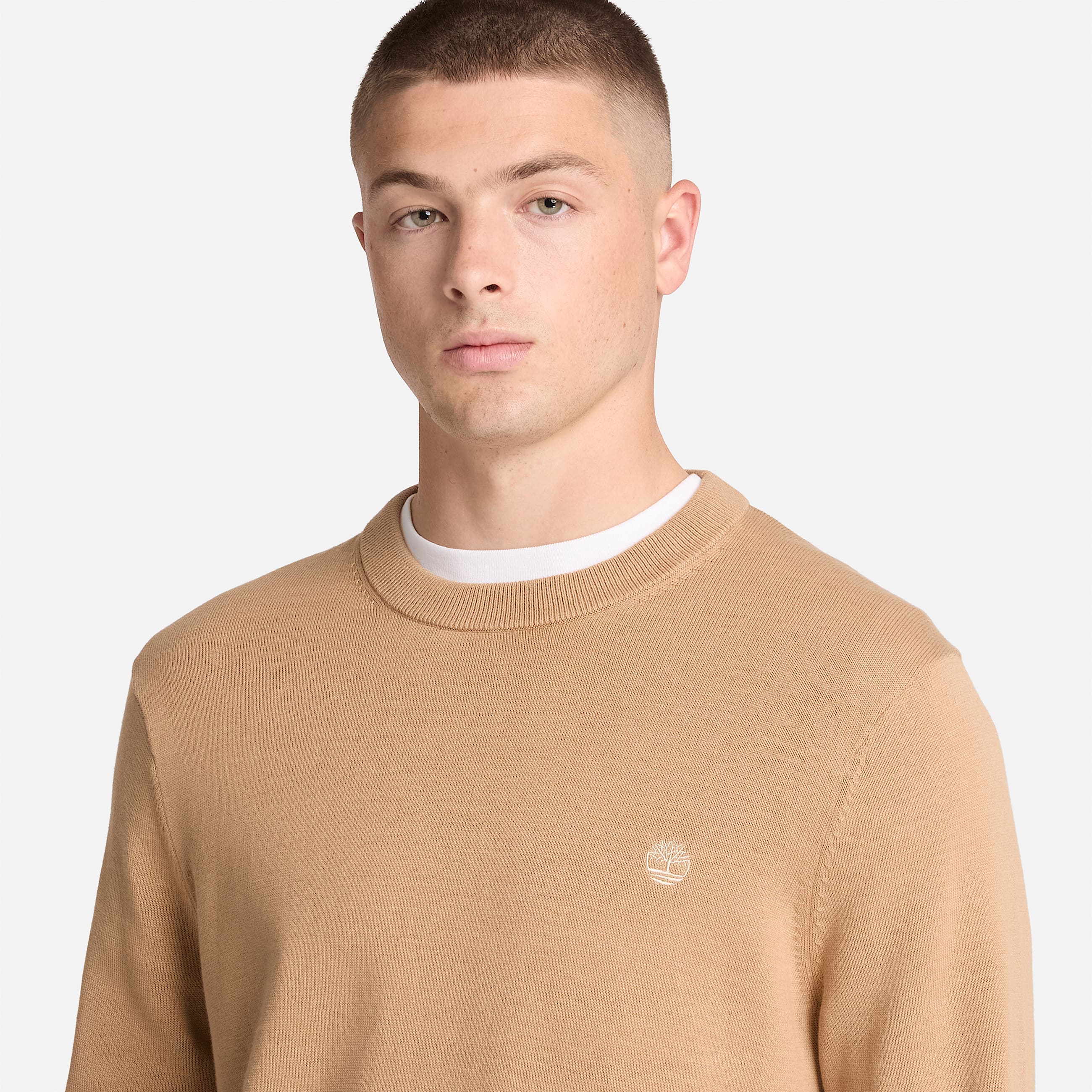 Williams River Cotton Crewneck Jumper for Men in Light Brown TBL Brown ALT3