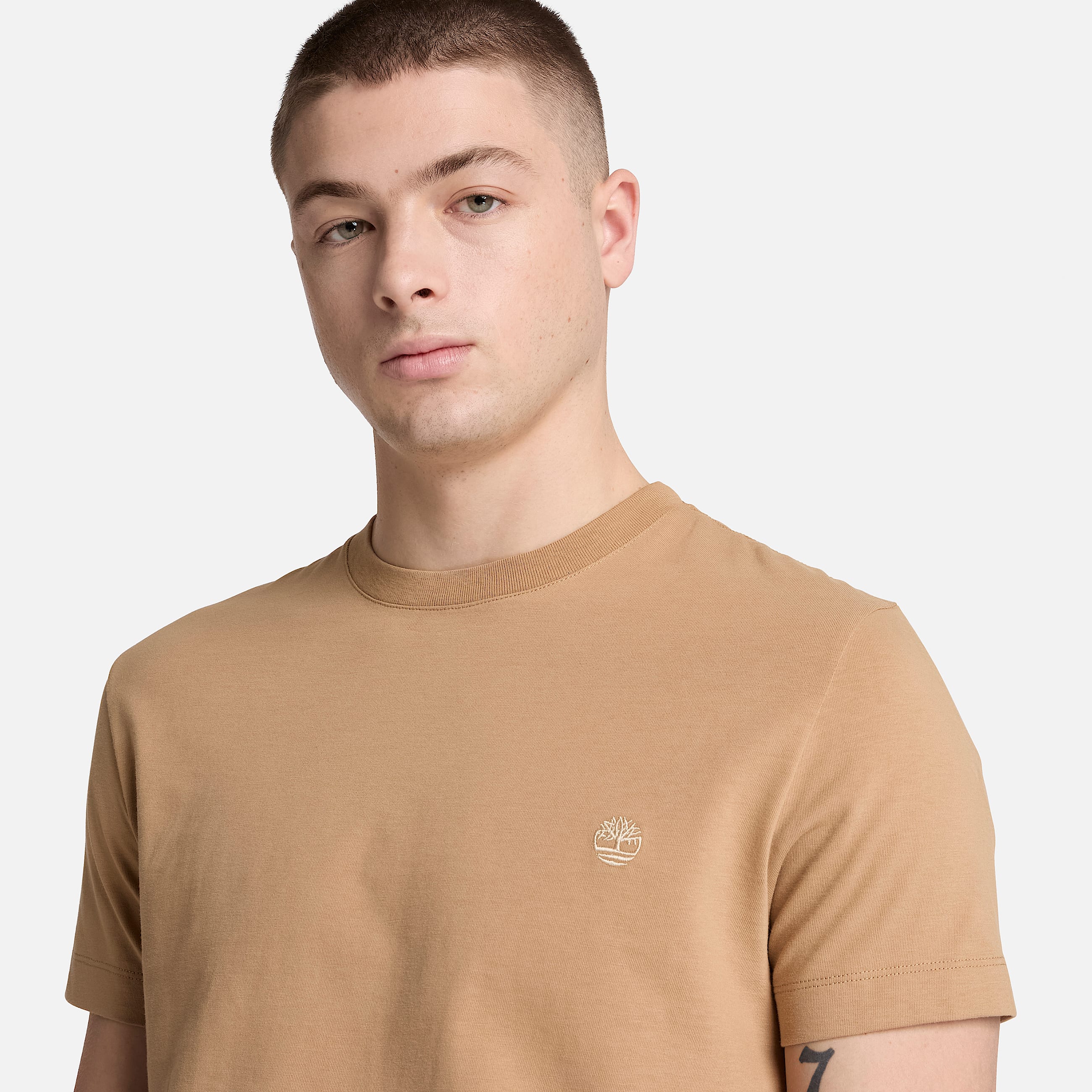 Tshirt Slim a Maniche Corte Dunstan River da Uomo in marrone chiaro TBL marrone ALT3