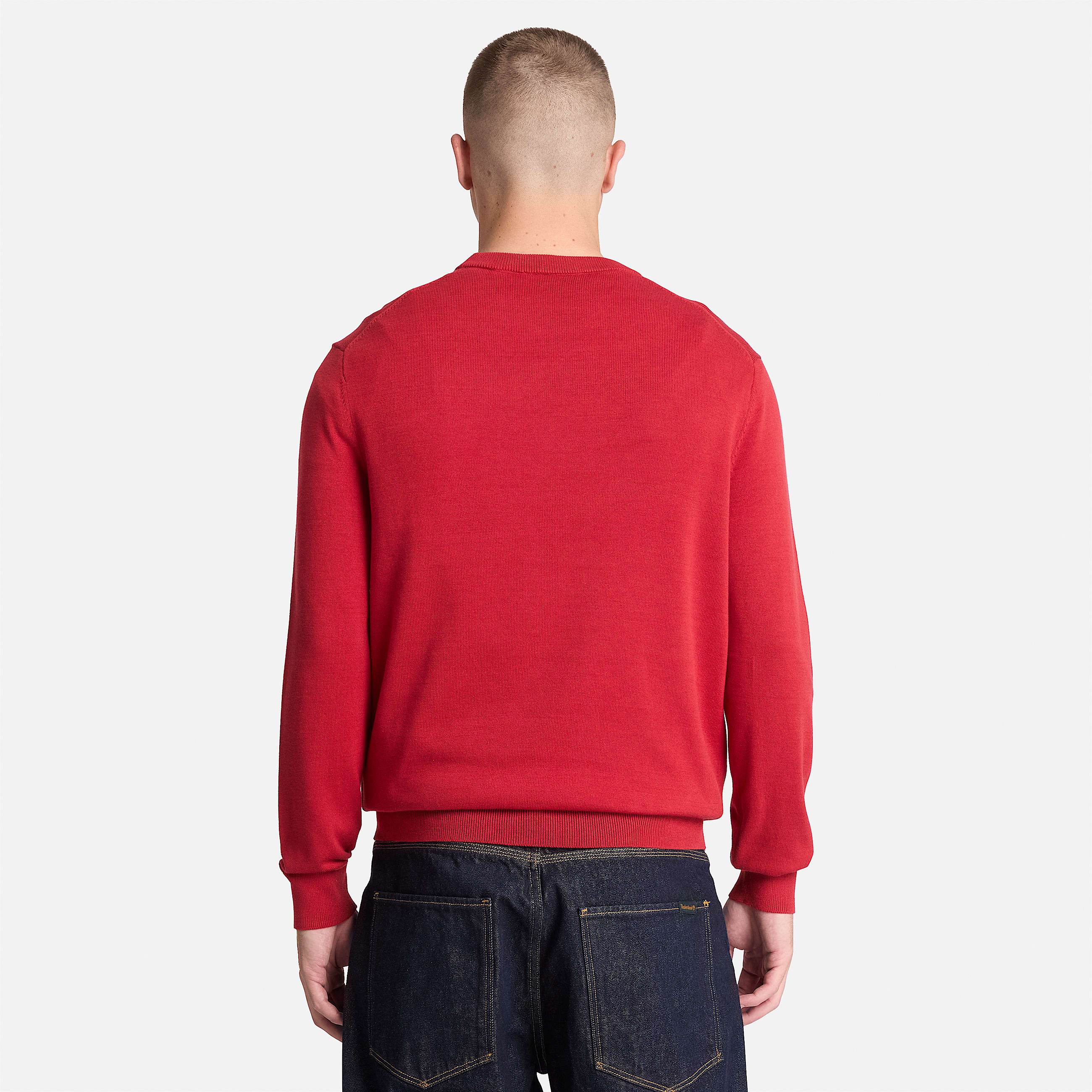 Williams River Cotton Crewneck Jumper for Men in Red TBL Red ALT8