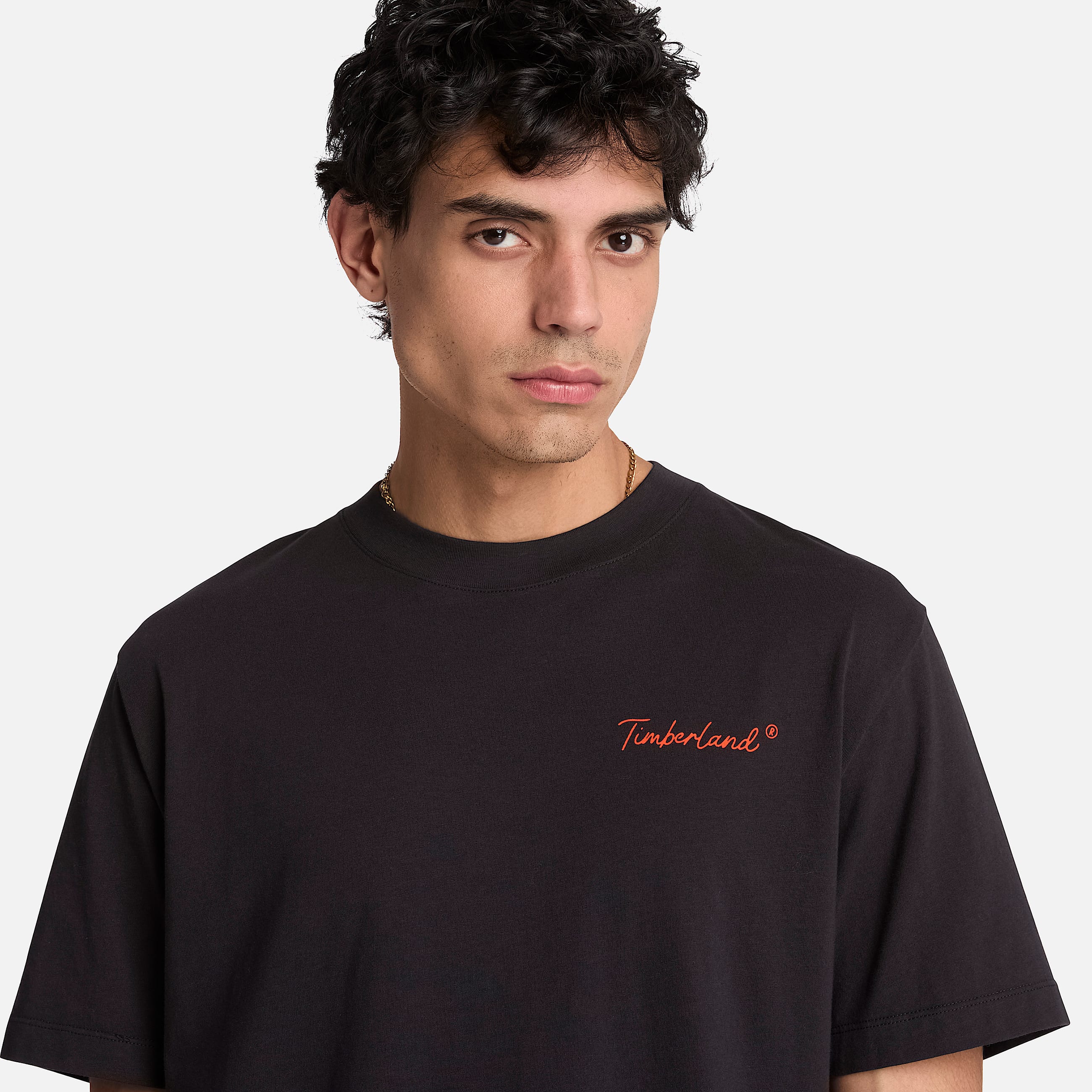 New Hampshire Heritage Graphic TShirt for Men in Black TBL Black ALT3