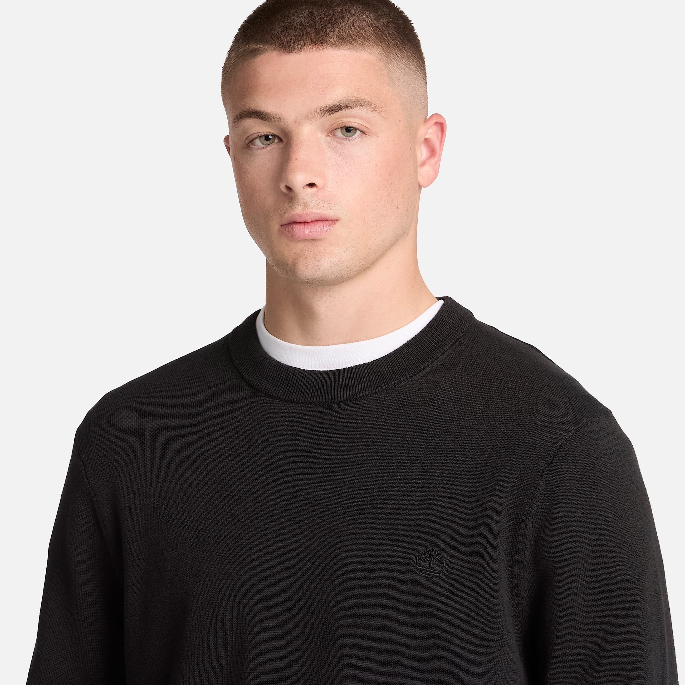 Williams River Cotton Crewneck Jumper for Men in Black TBL Black ALT3