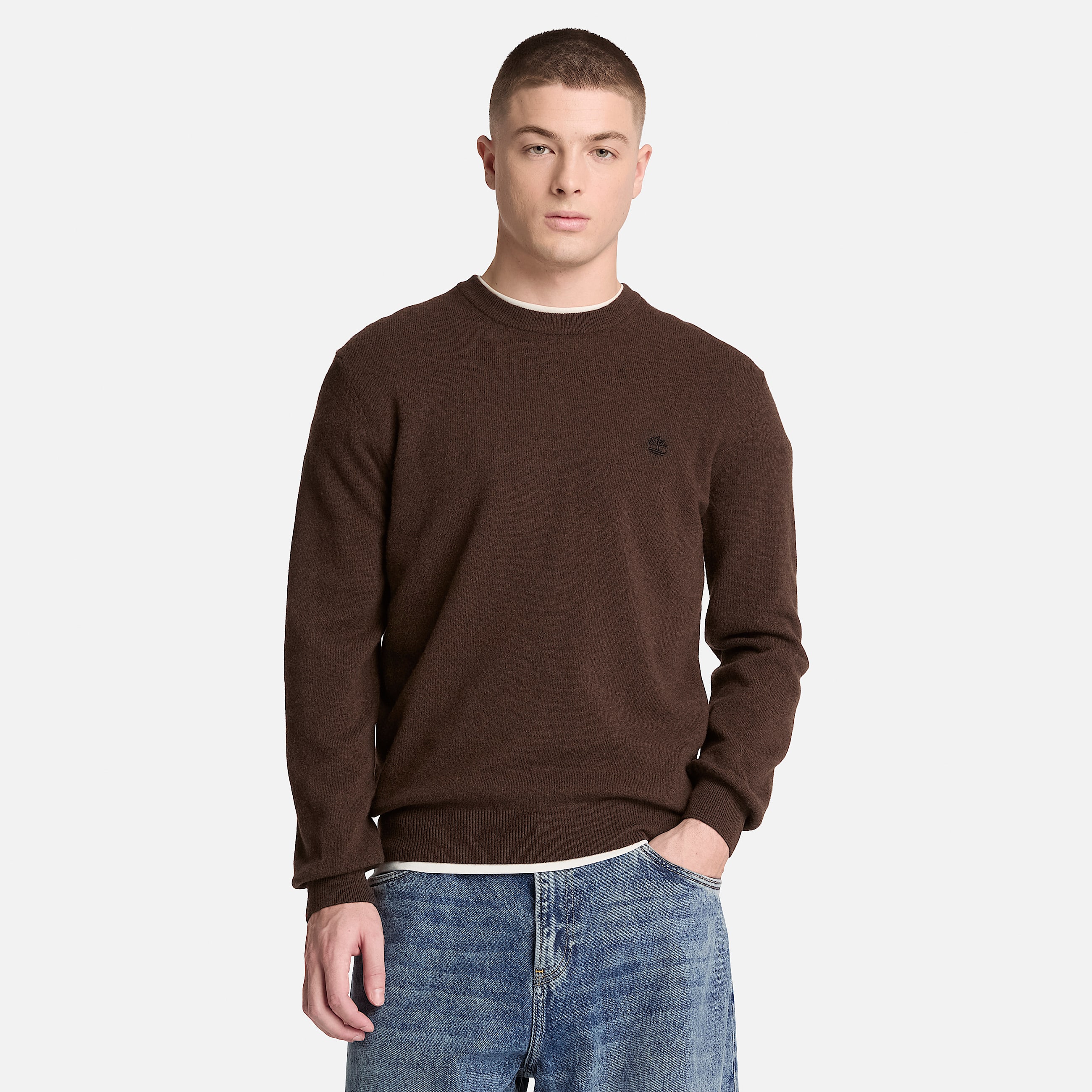 Jaffrey Wool Crewneck Jumper for Men in Dark Brown