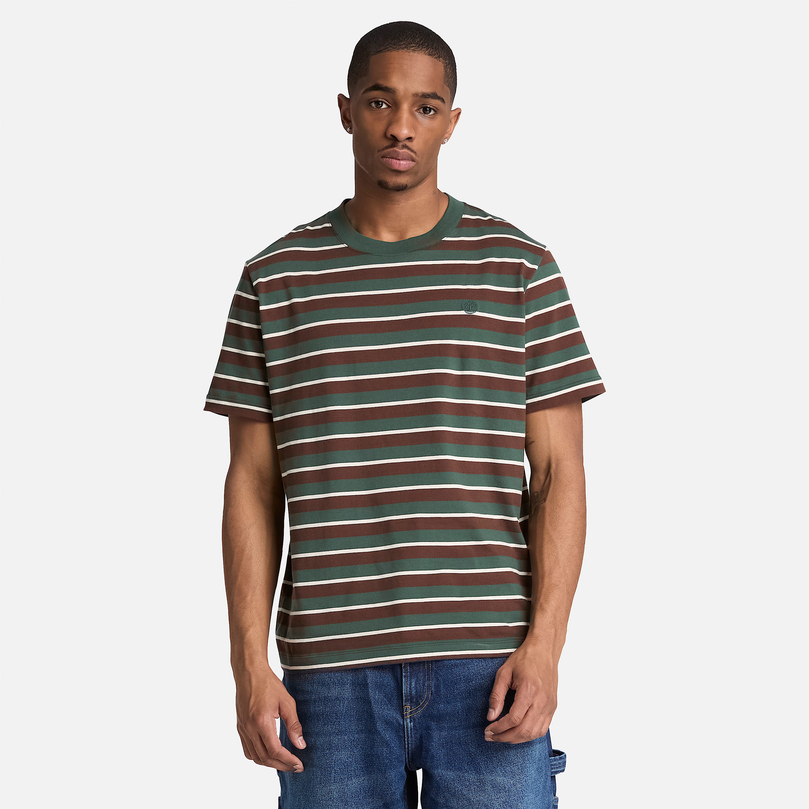 Stripe ShortSleeve TShirt for Men in Dark Green TBL Green ALT1