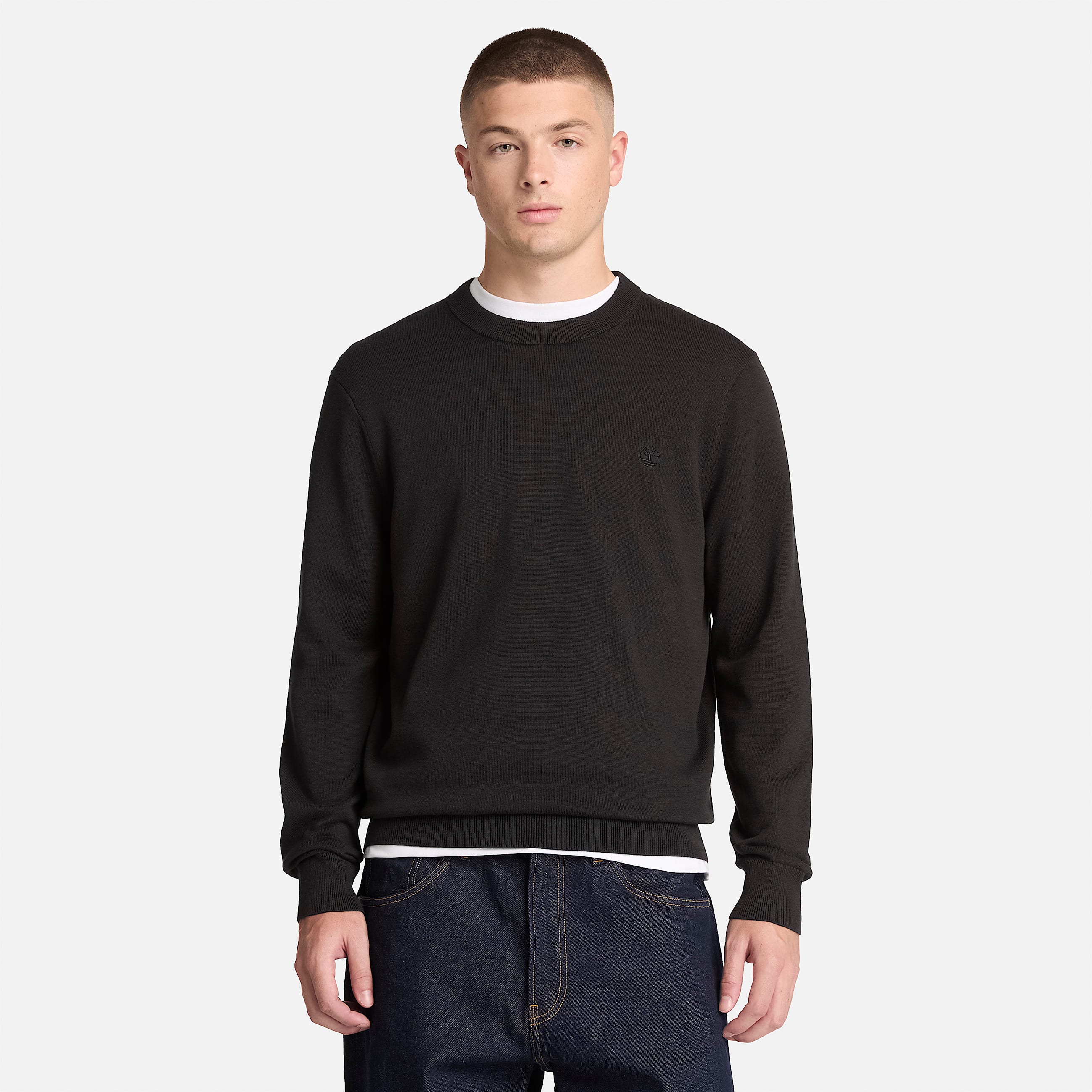 Williams River Cotton Crewneck Jumper for Men in Black TBL Black ALT1
