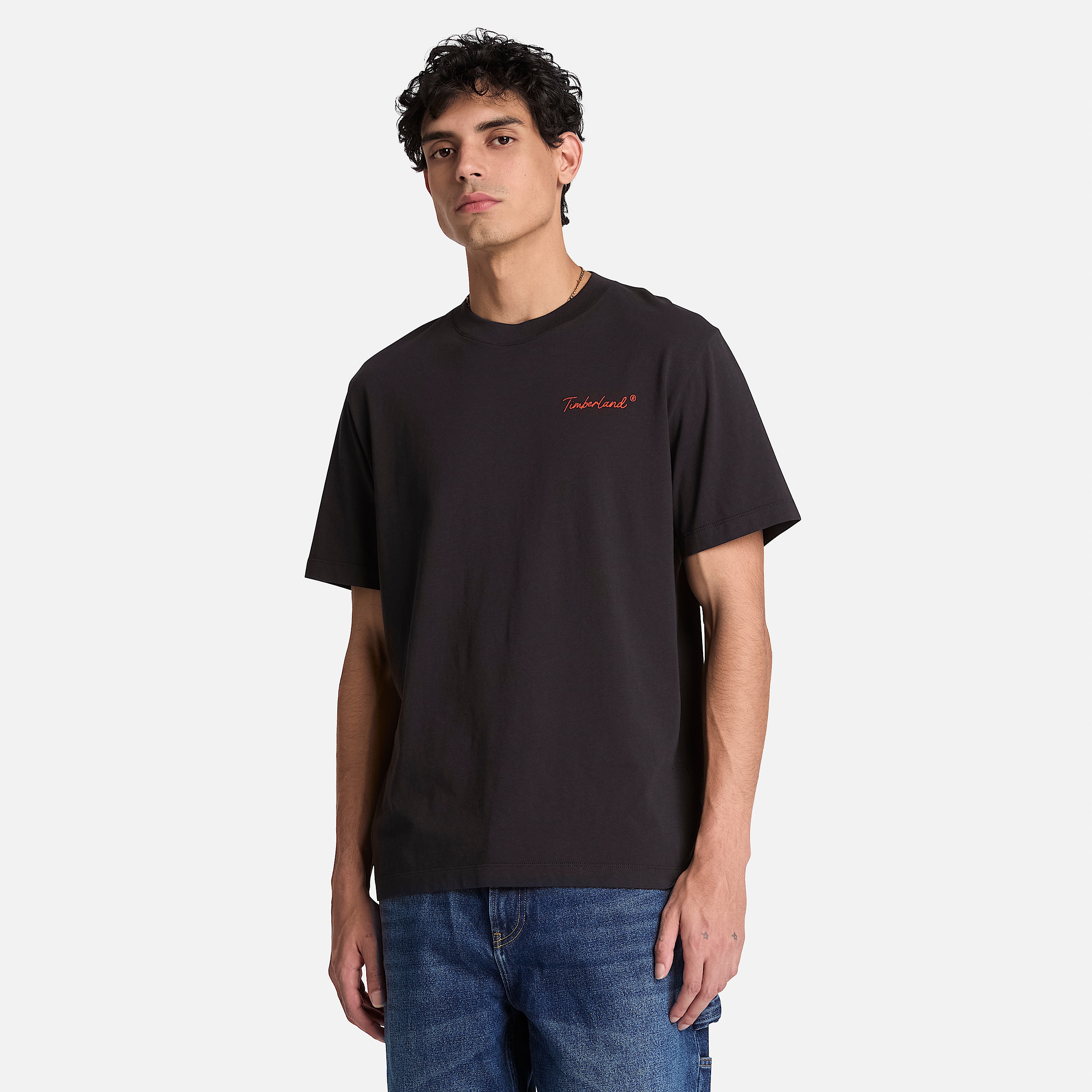 New Hampshire Heritage Graphic TShirt for Men in Black TBL Black ALT1