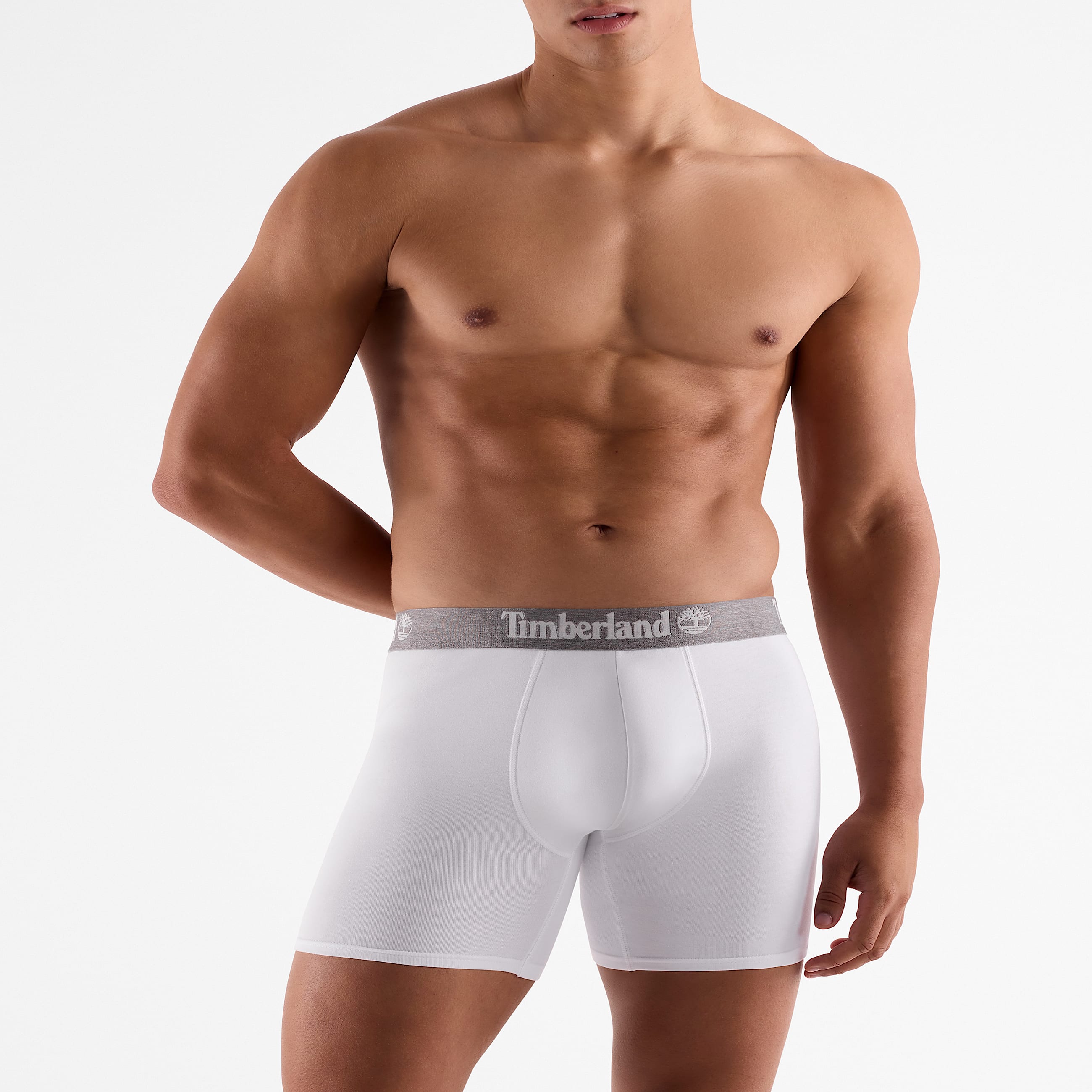 3Pack Basic Trunk for Men TBL No Color ALT1