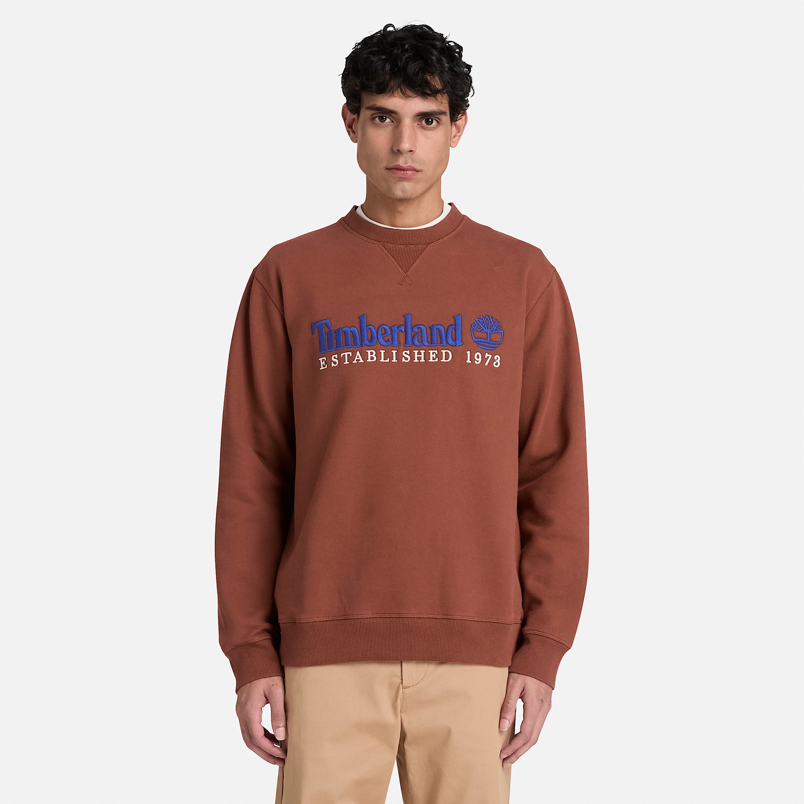Established 1973 Embroidered Logo Crew Sweatshirt for Men in Brown TBL Brown ALT1