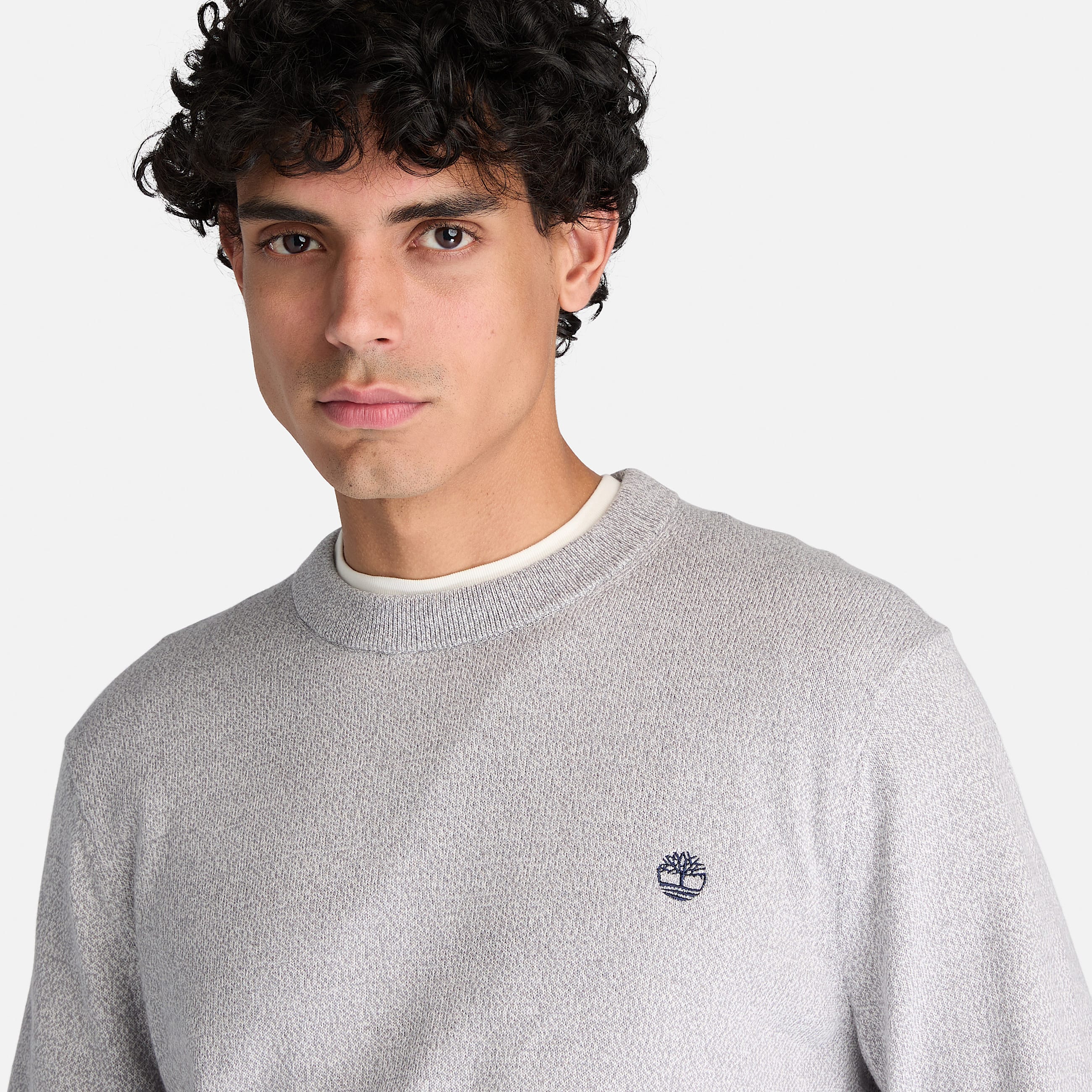Williams River Cotton Crewneck Jumper for Men in Grey TBL Grey ALT3