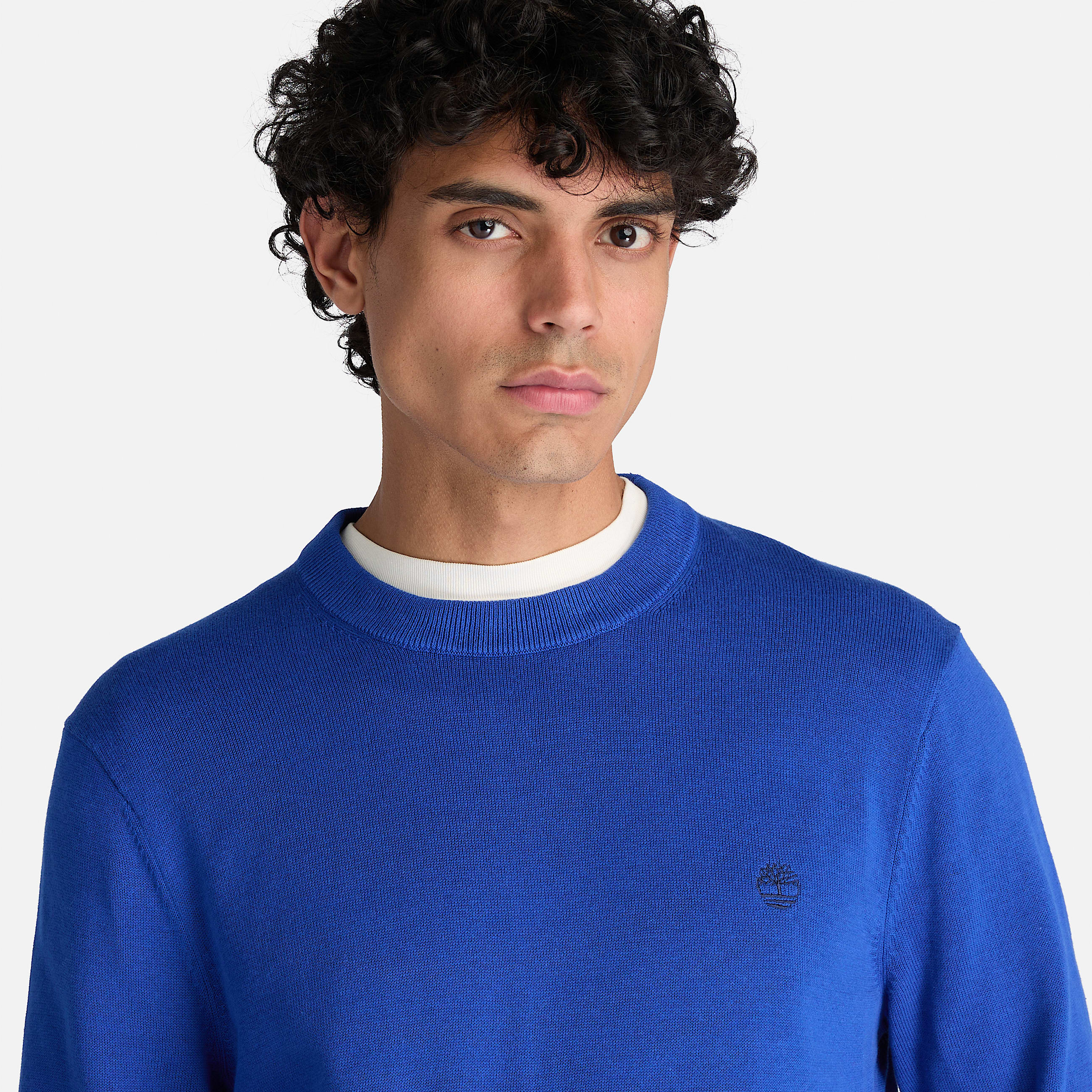 Pull en coton  col rond Williams River pour homme en bleu TBL bleu ALT3
