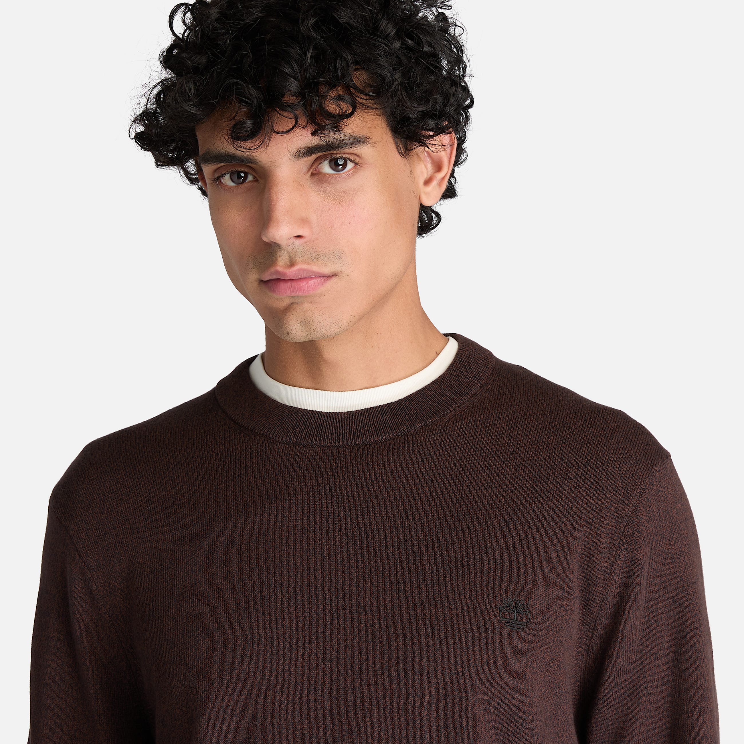 Williams River Cotton Crewneck Jumper for Men in Dark Brown TBL Brown ALT3