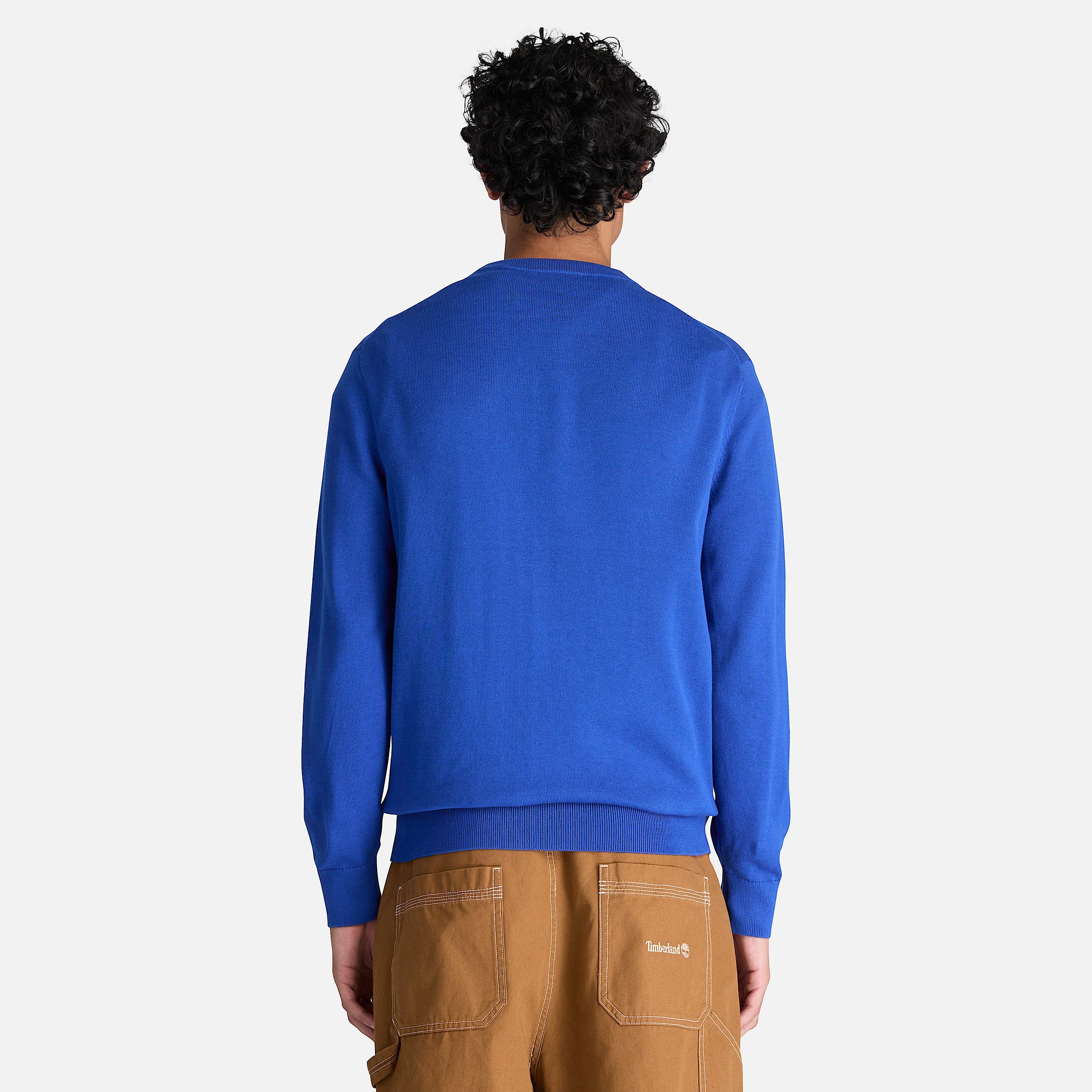 Pull en coton  col rond Williams River pour homme en bleu TBL bleu ALT8