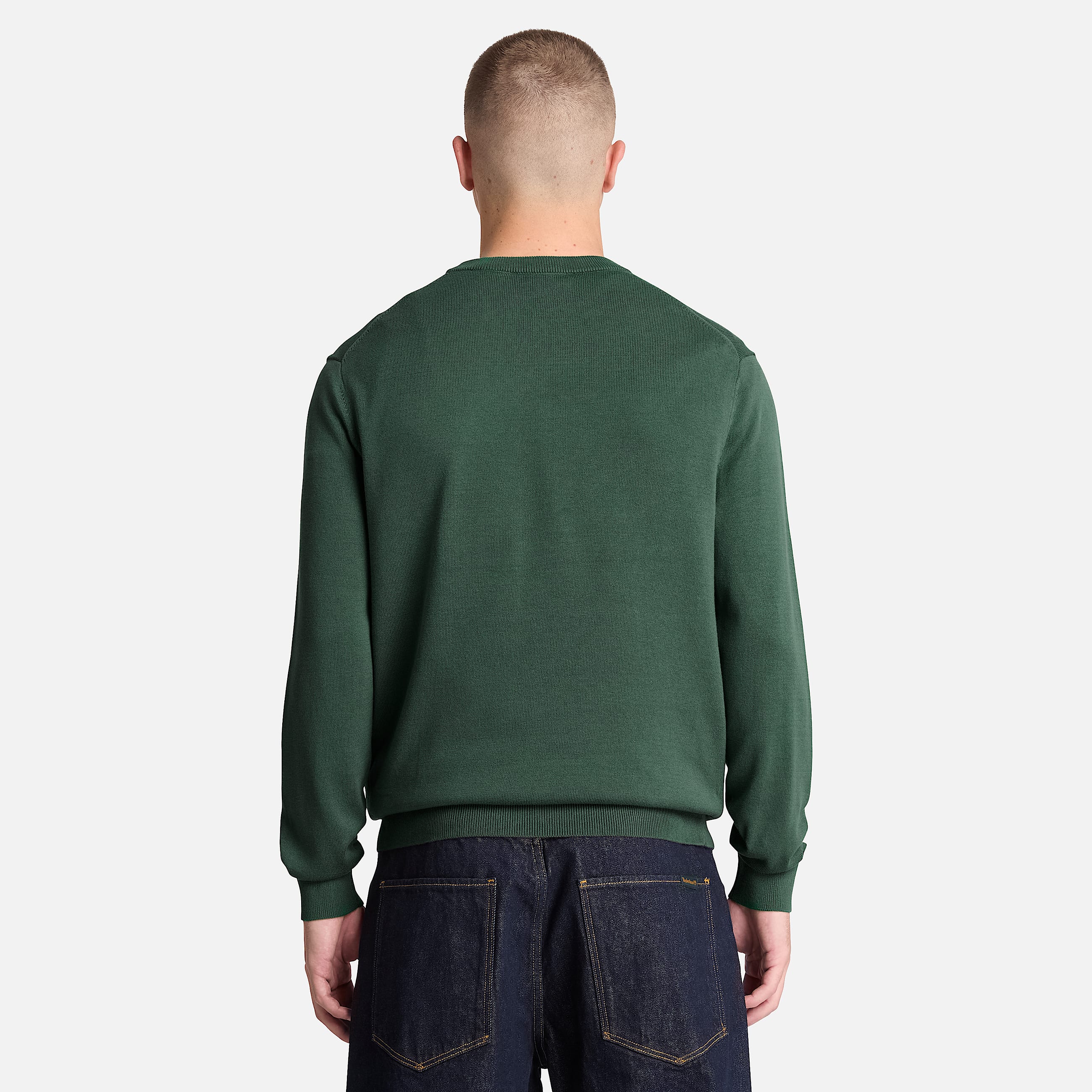 Williams River Cotton Crewneck Jumper for Men in Green TBL Green ALT8