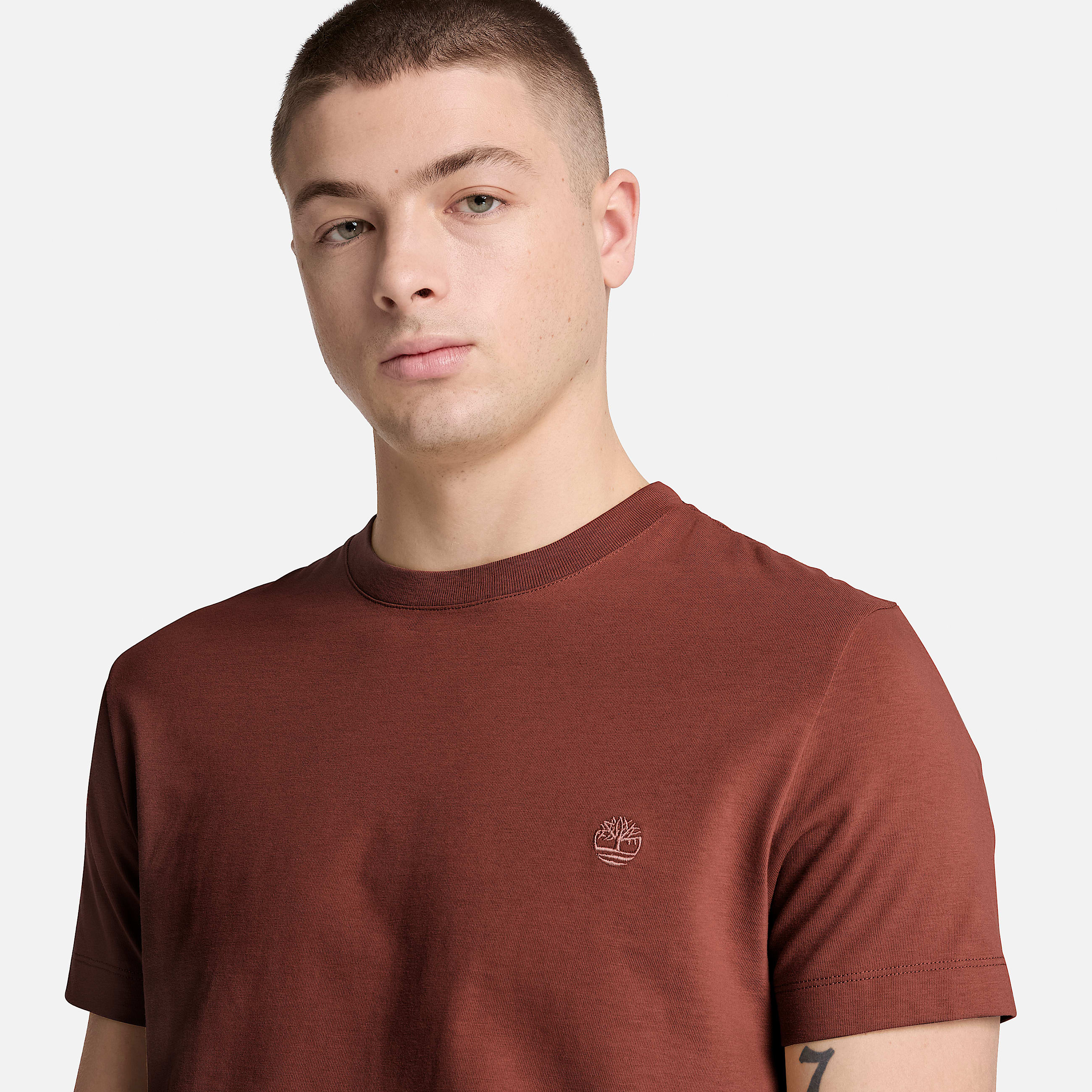 Dunstan River Slim ShortSleeve TShirt for Men in Brown TBL Brown ALT3