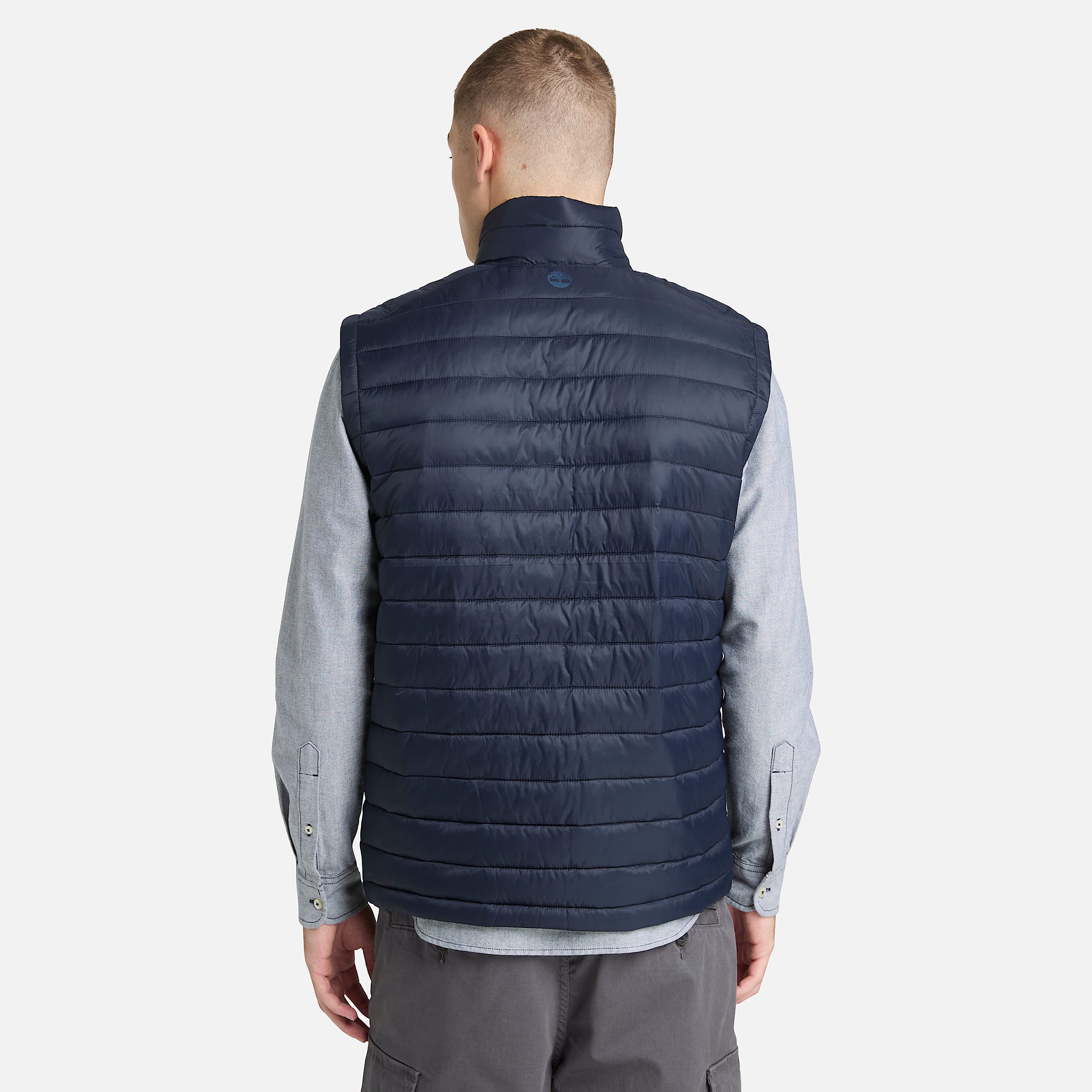 Axis Peak Durable WaterRepellent Vest for Men in Blue TBL Bl ALT8