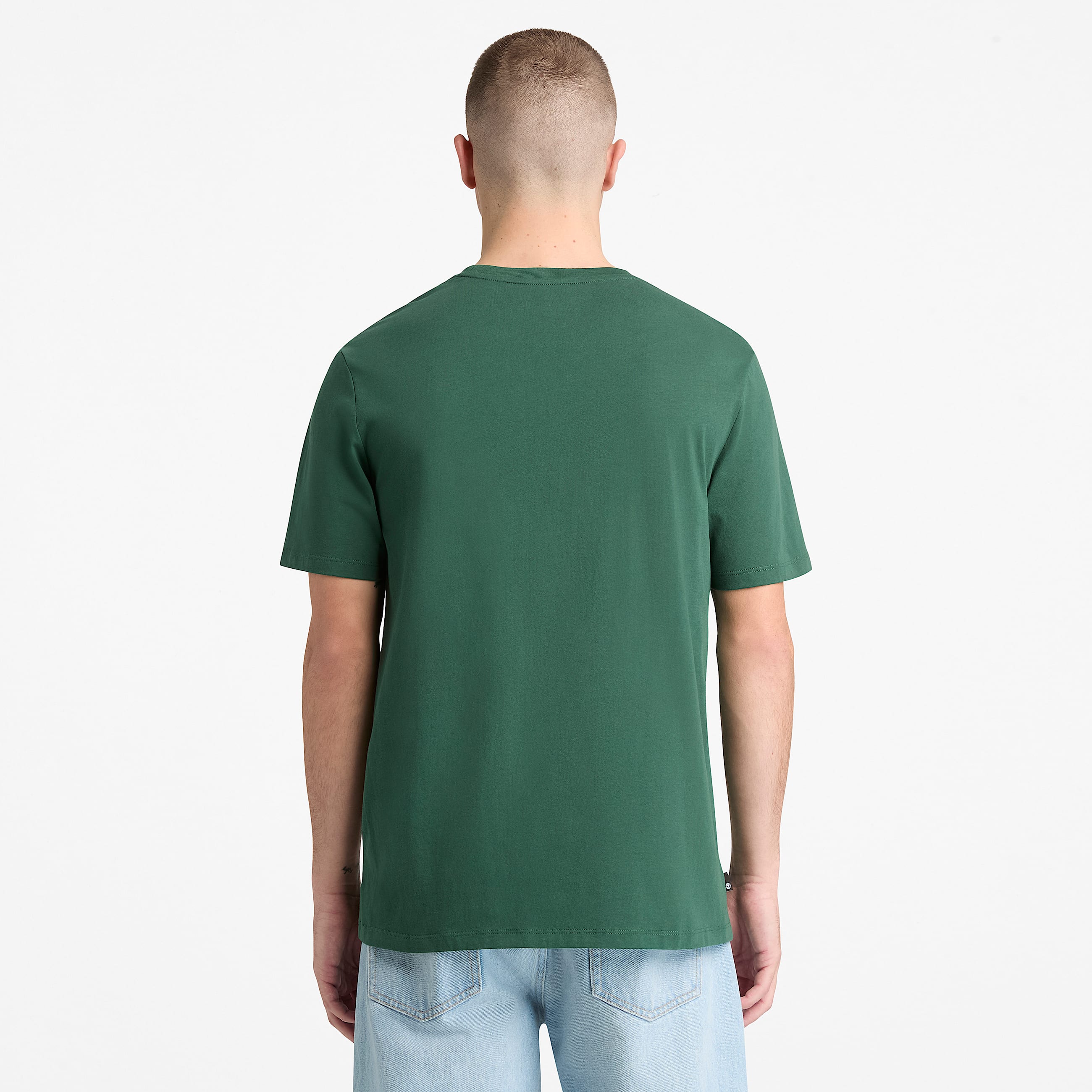 Tshirt a Maniche Corte con Grafica Venture  Explore da Uomo in verde TBL verde ALT8