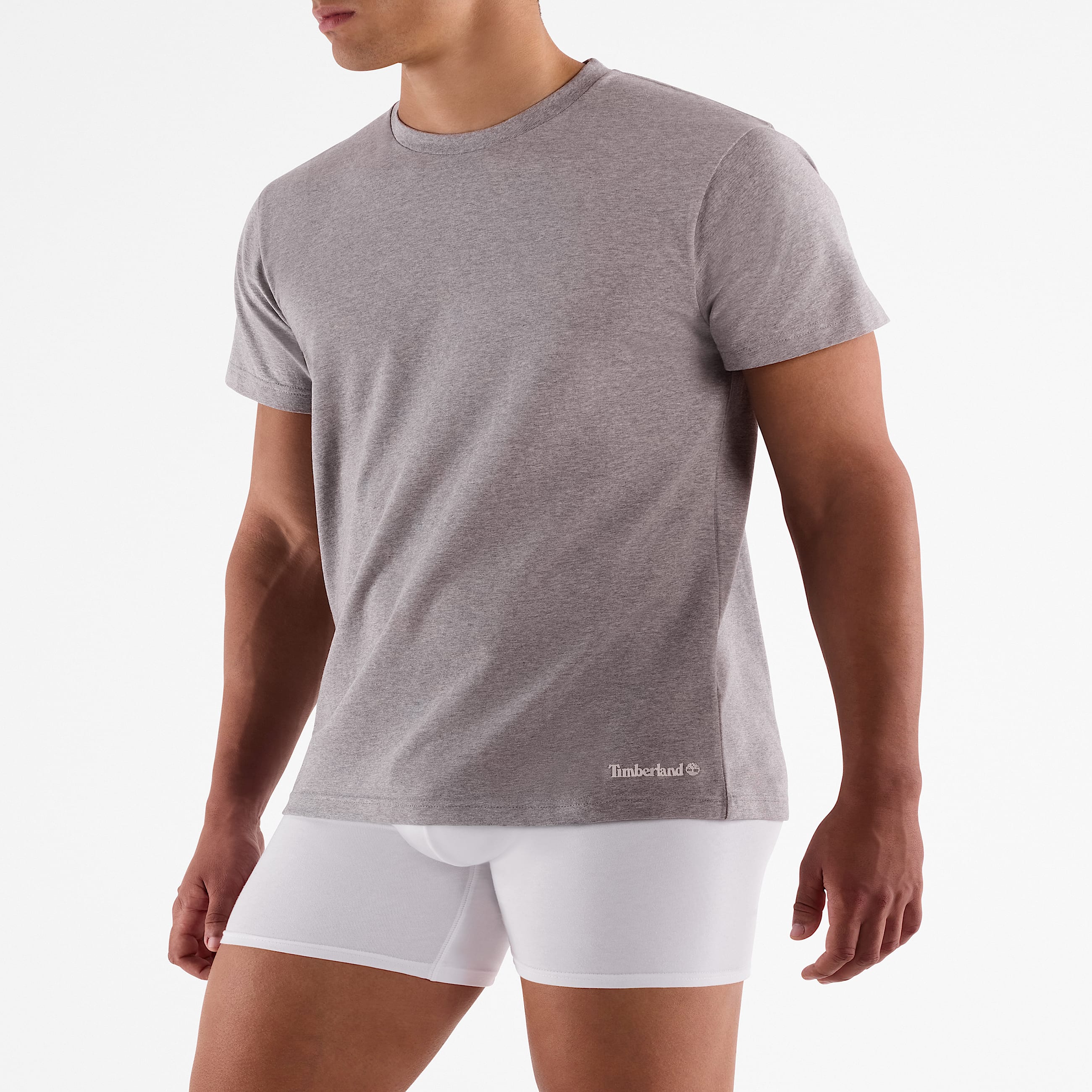 3Pack Basic TShirt for Men in Multicoloured TBL Multicolour ALT1