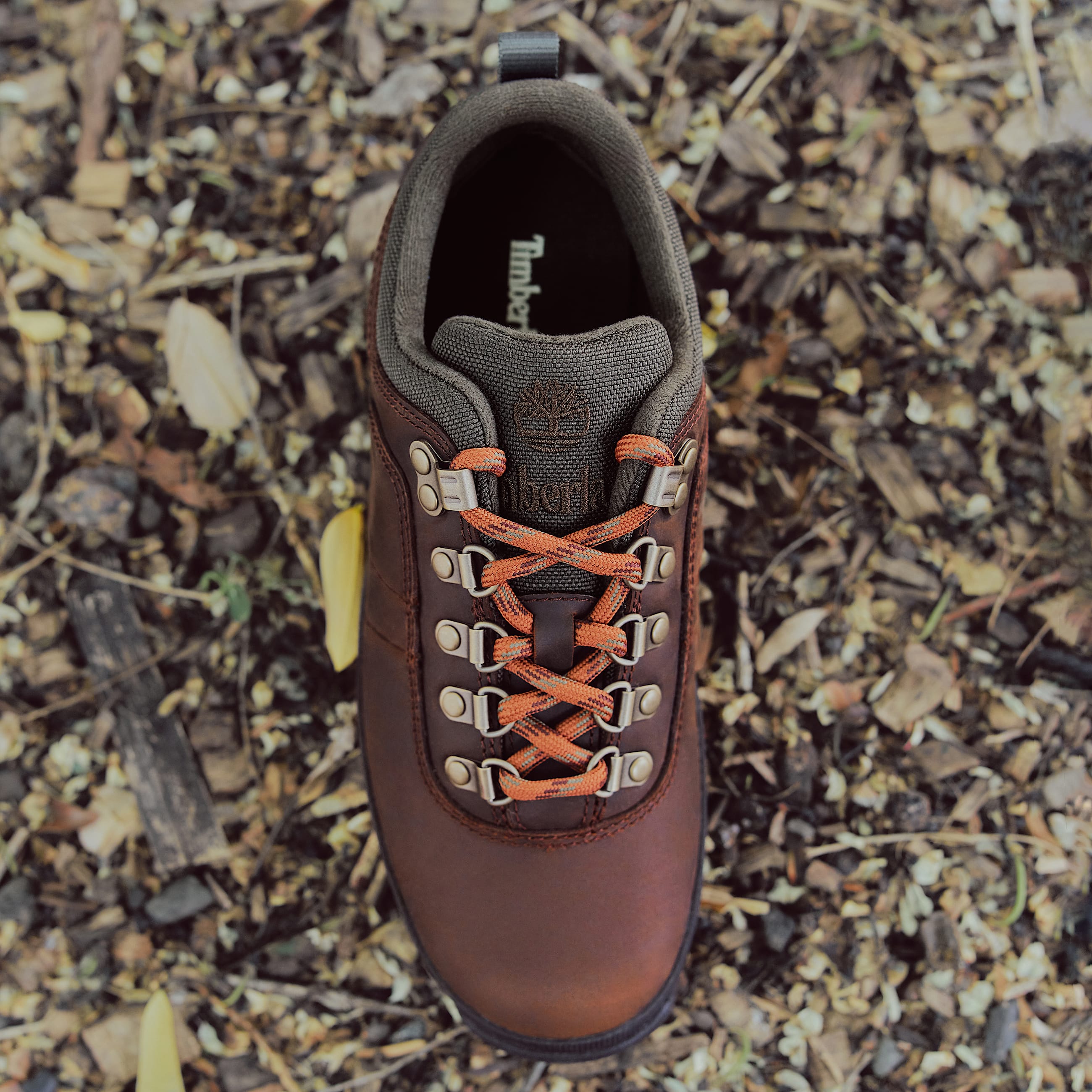 Bottine de randonne basse Euro Hiker pour femme en marron fonc TBL marron MKTG5
