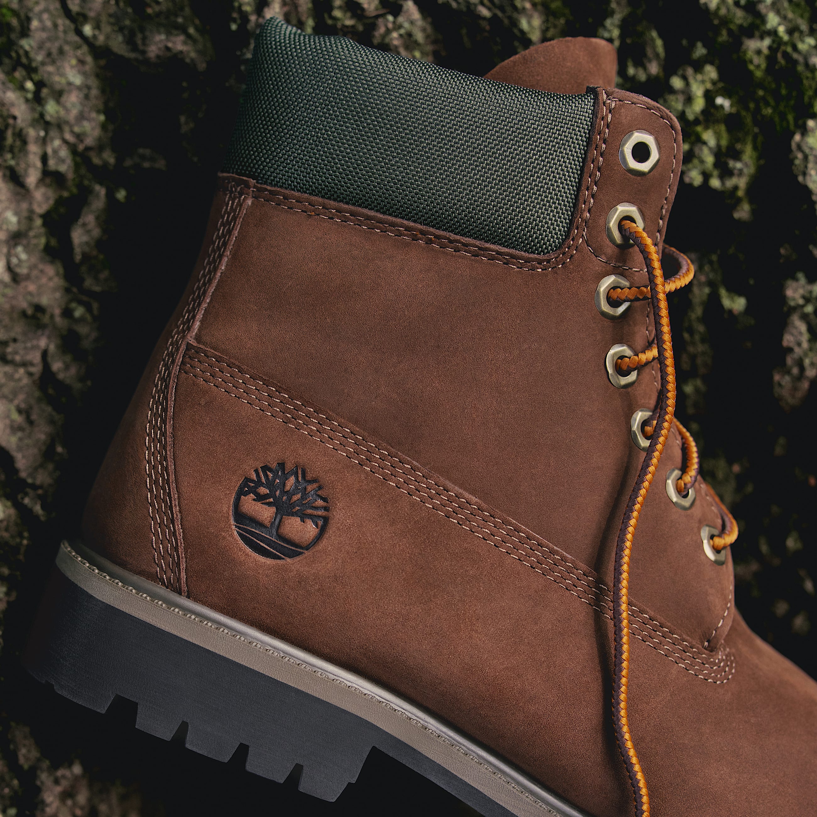 6Inch Boot impermable Timberland Premium pour femme en marron fonc TBL marron MKTG1