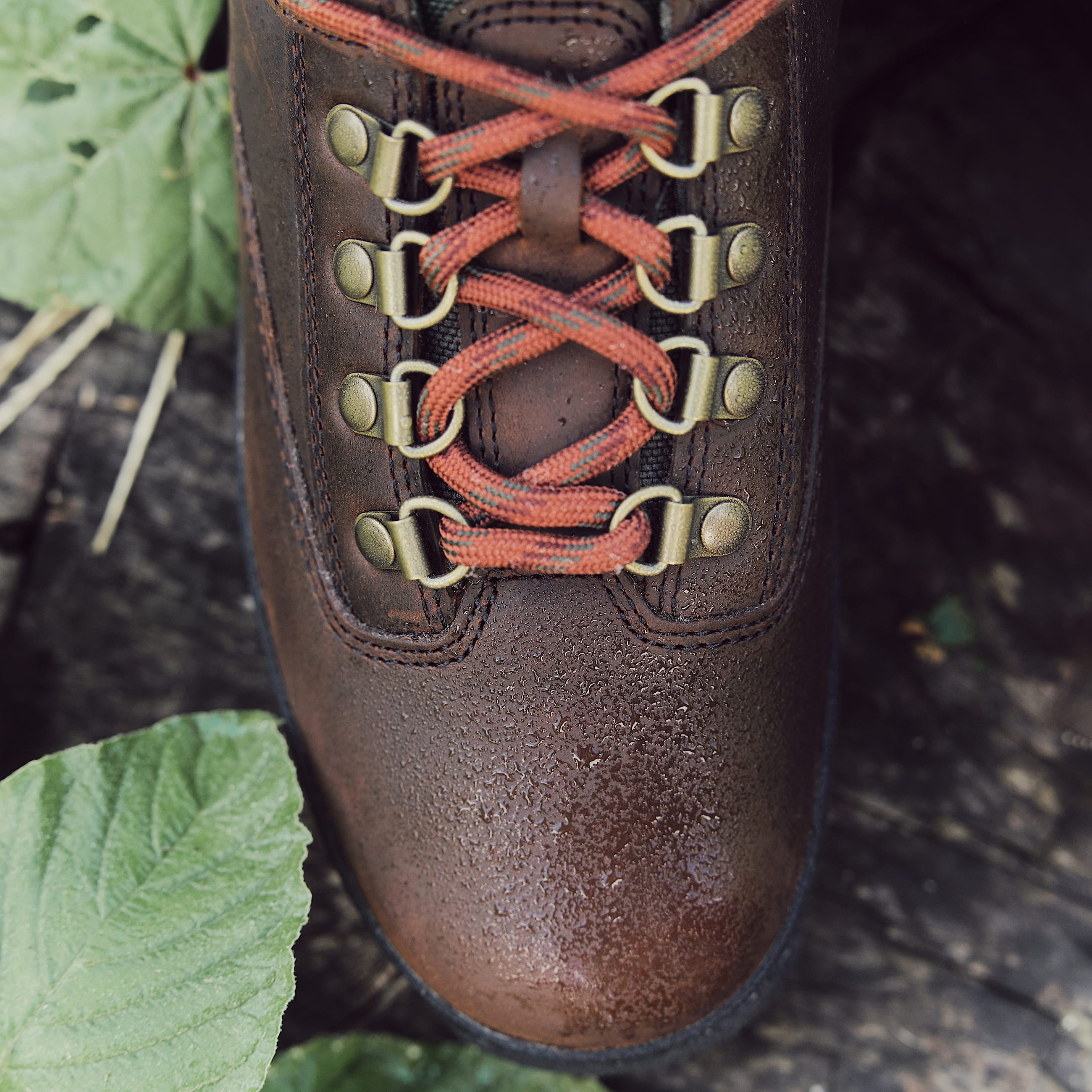 Euro Hiker fr Damen in Dunkelbraun TBL Braun MKTG2