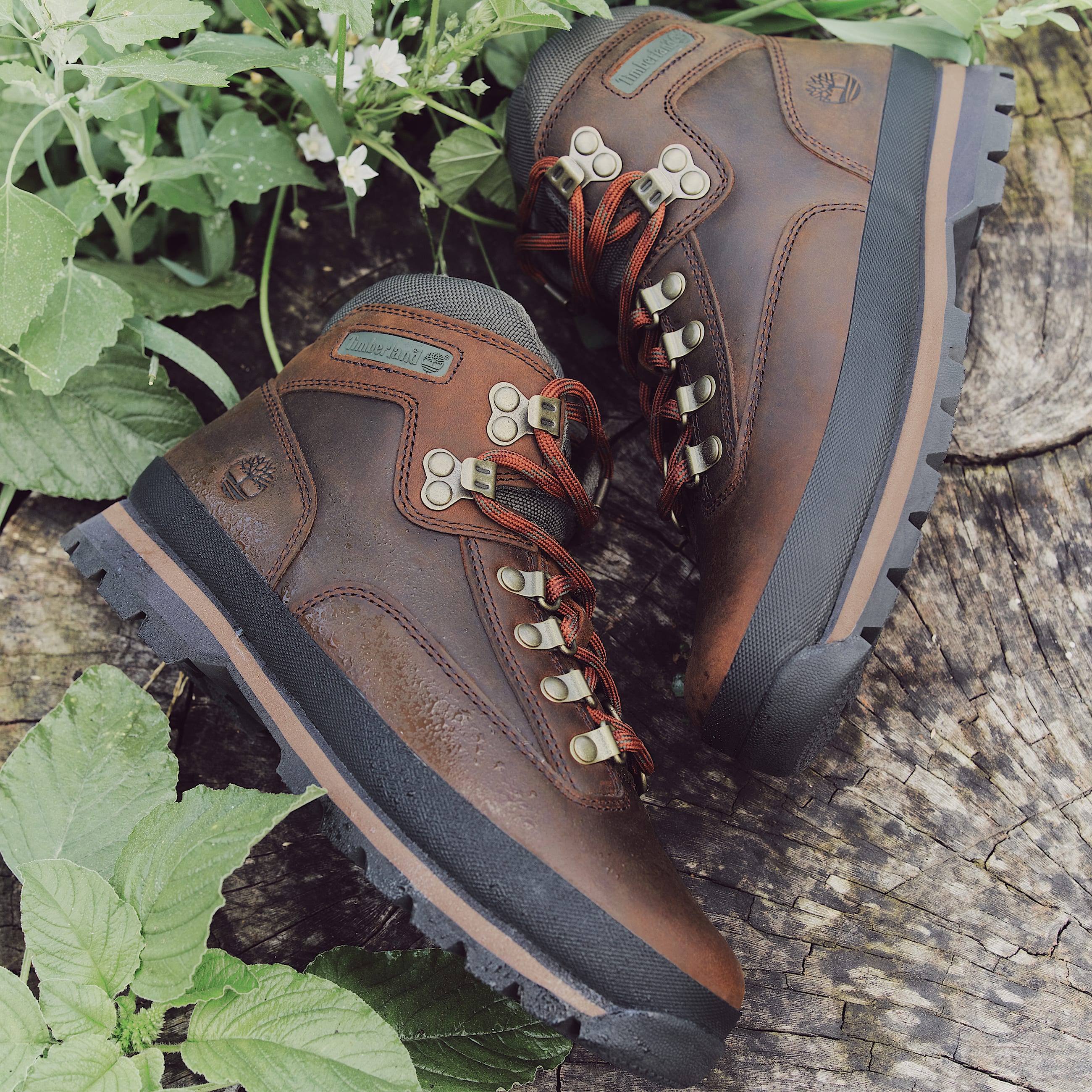 Euro Hiker fr Damen in Dunkelbraun TBL Braun MKTG1