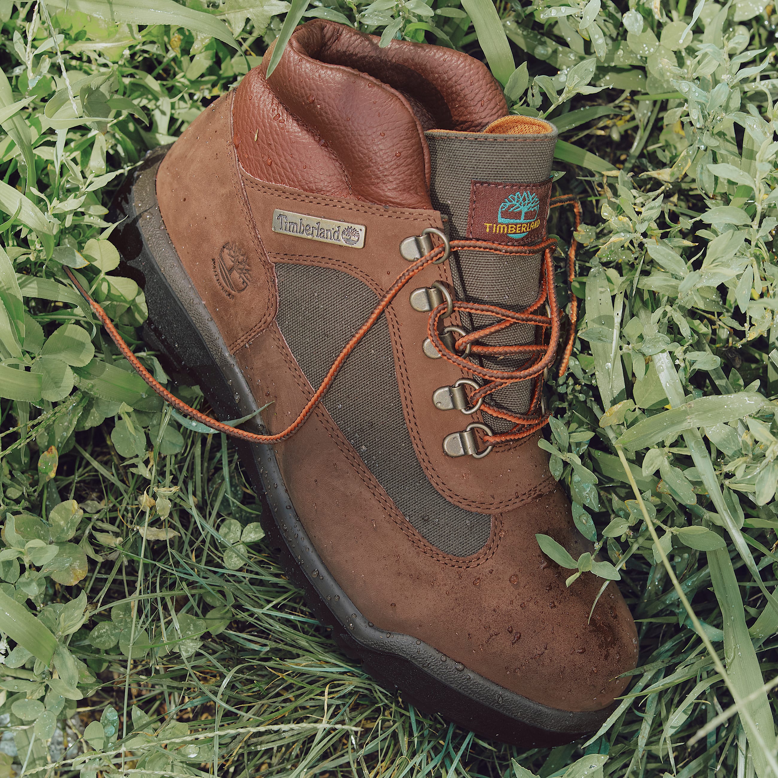 Bottine impermable Field pour homme en marron fonc TBL marron MKTG4