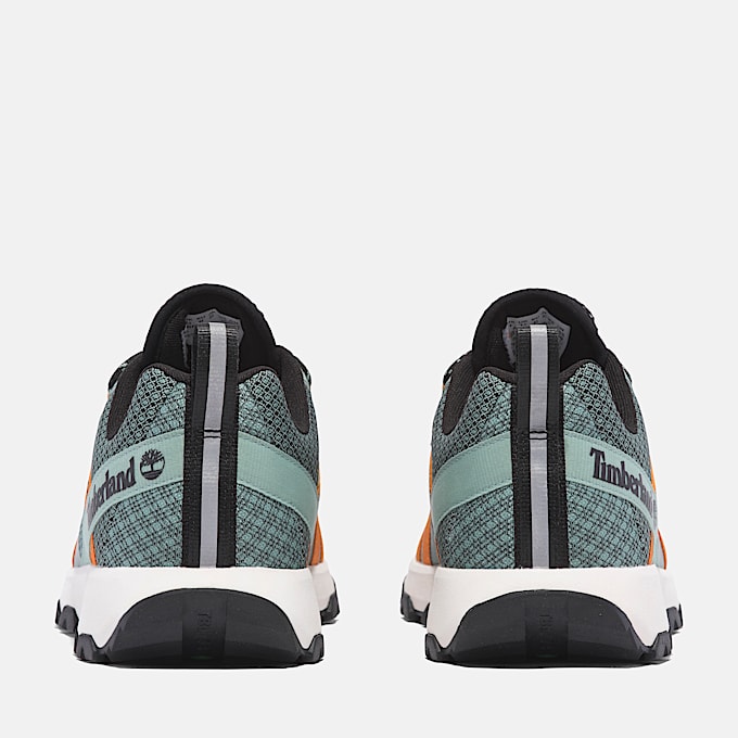 Basket basse à lacets Winsor Trail pour homme en vert clair