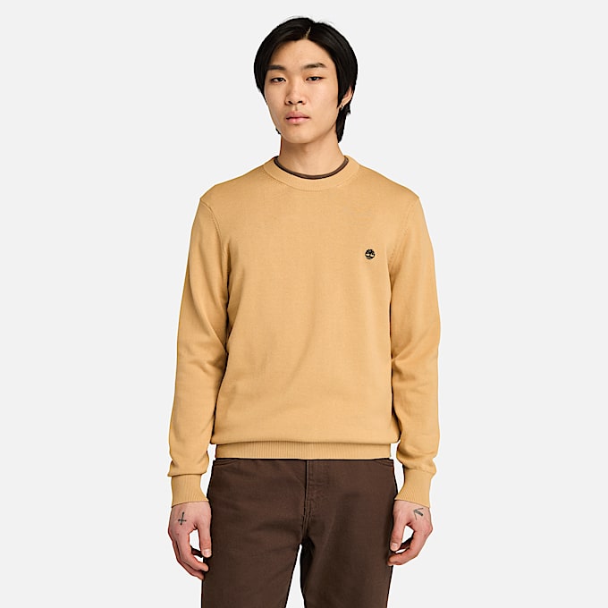 Pull en coton Williams River pour homme en jaune TBL jaune HERO