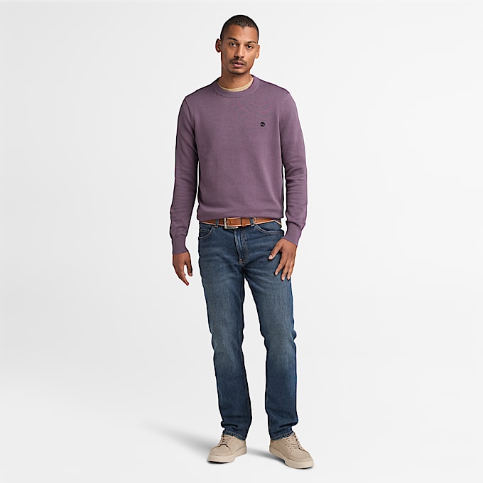 Pull en coton teint en fil Williams River pour homme en violet