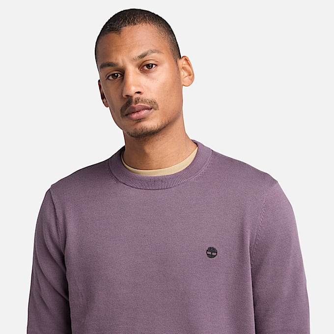 Pull en coton teint en fil Williams River pour homme en violet