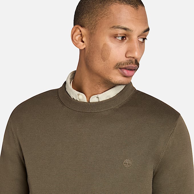 Pull en coton Williams River pour homme en vert