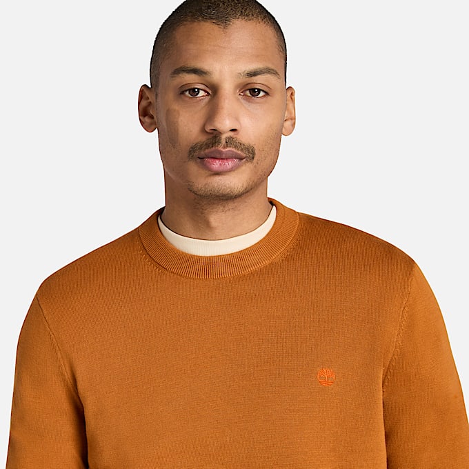 Pull en coton Williams River pour homme en marron