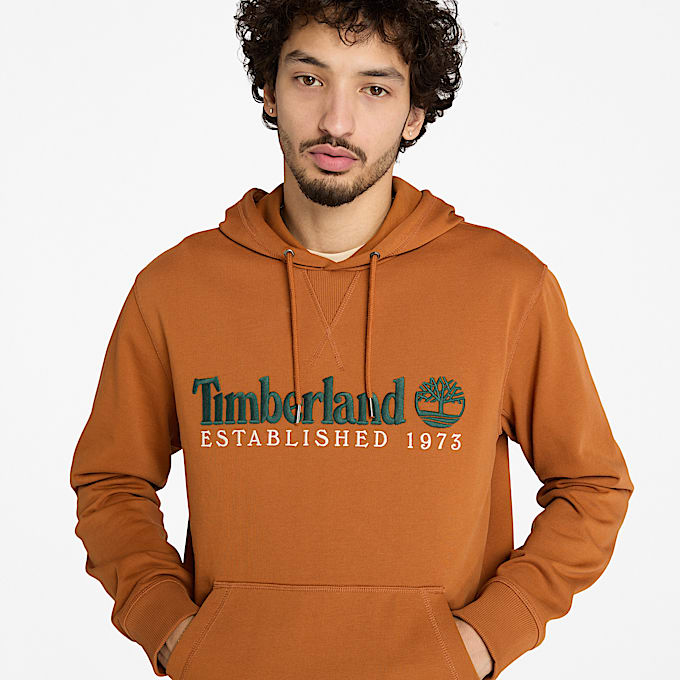 Sweat à capuche à envers bouclé et logo 1973 pour homme en marron