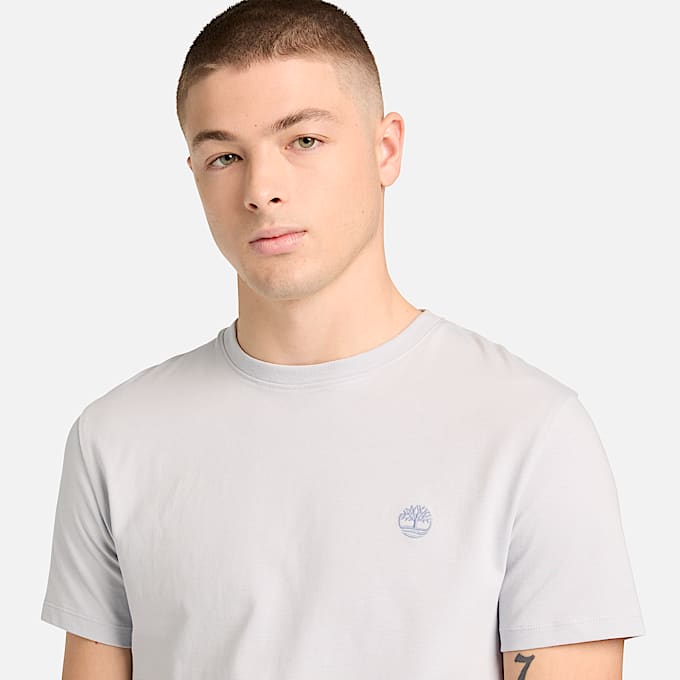 Camiseta de manga corta Dunstan River para hombre en gris