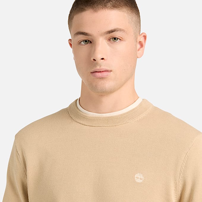 Williams River Cotton Jumper for Men in Beige TBL Beige ALT3