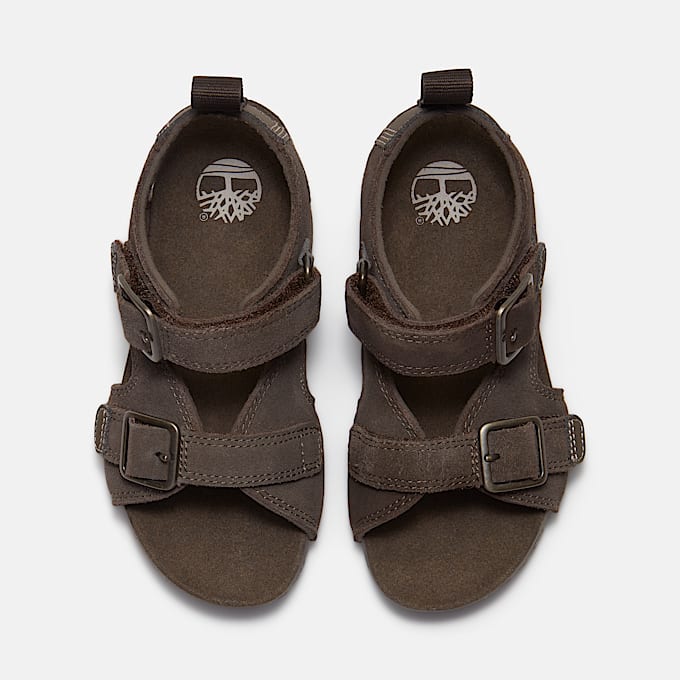 Castle Island Backstrap Sandal for Toddler in Dark Grey TBL Grey ALT2