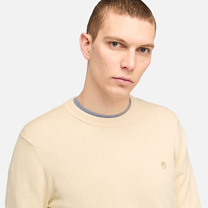Williams River Cotton Jumper for Men in Beige TBL Beige ALT3