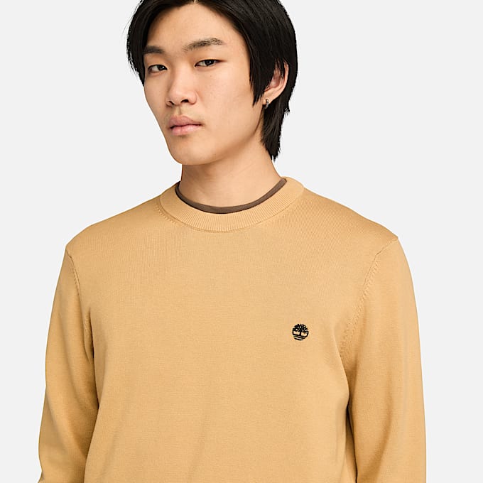 Williams River Cotton Jumper for Men in Yellow TBL Yellow ALT3