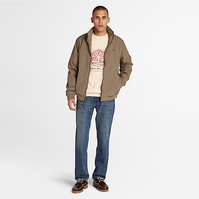 Seasonal Graphic Crewneck Sweatshirt for Men in Beige TBL Beige ALT2