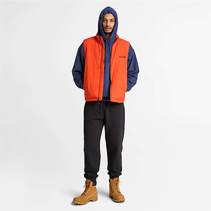 Shorewood Core Hoodie fr Herren in Dunkelblau TBL Blau ALT2