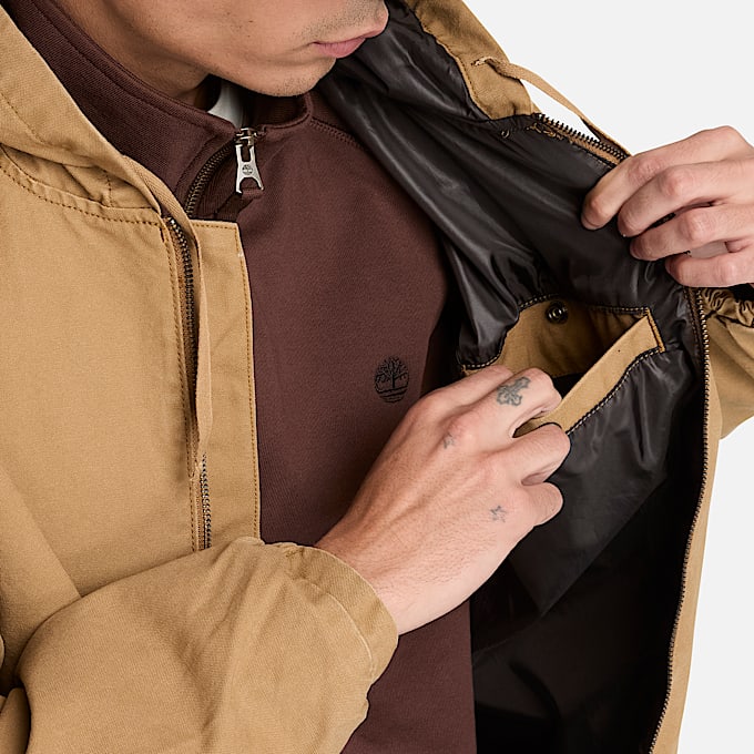CanvasBomberjacke mit Kapuze fr Herren in Braun TBL Braun ALT3
