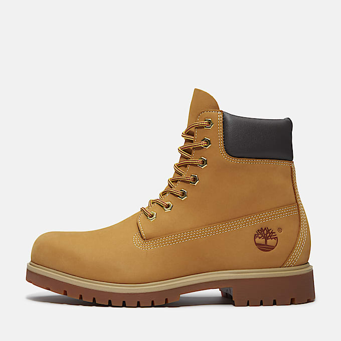 Wasserdichter Timberland 25 6Inch Boot fr Herren in Gelb TBL Gelb ALT8