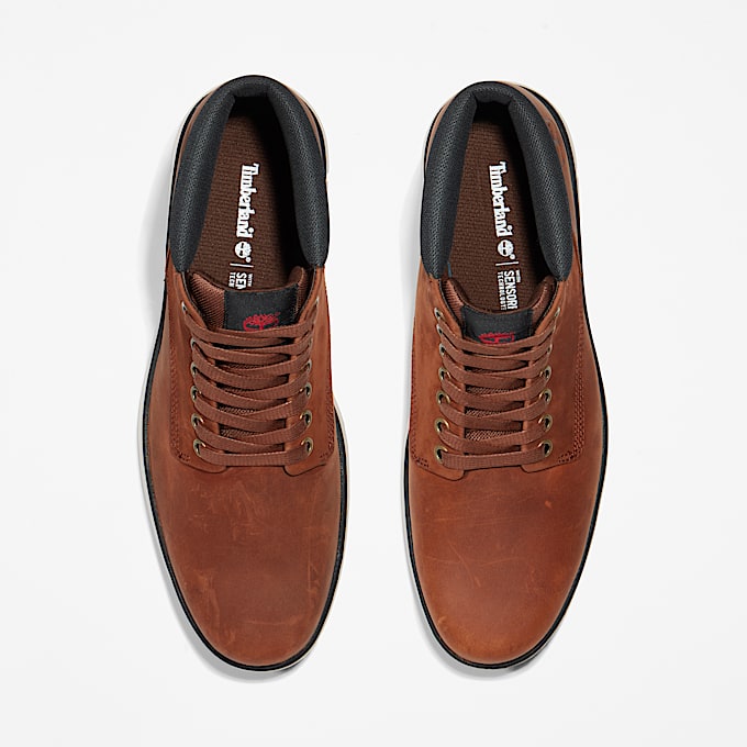 Bradstreet Lace-Up Trainer for Men in Brown