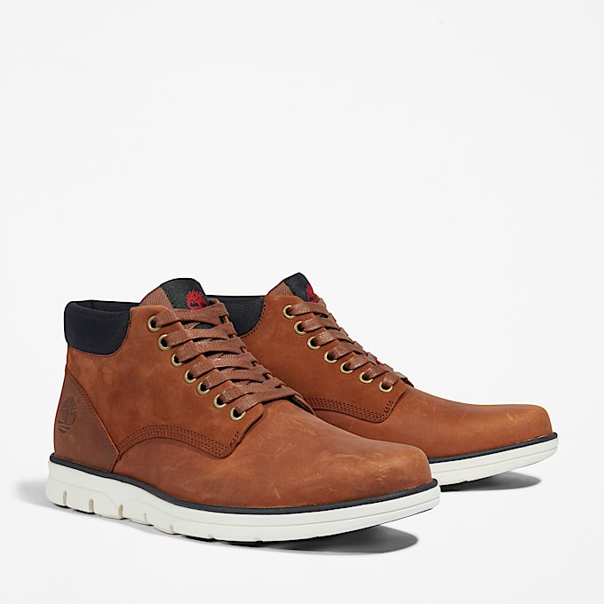 Bradstreet Lace-Up Trainer for Men in Brown