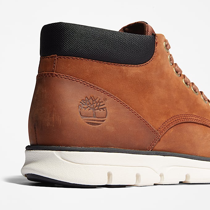 Bradstreet Lace-Up Trainer for Men in Brown