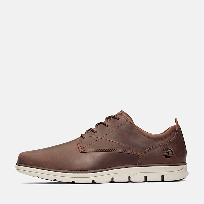 Bradstreet Low Lace-Up Trainer for Men in Dark Brown