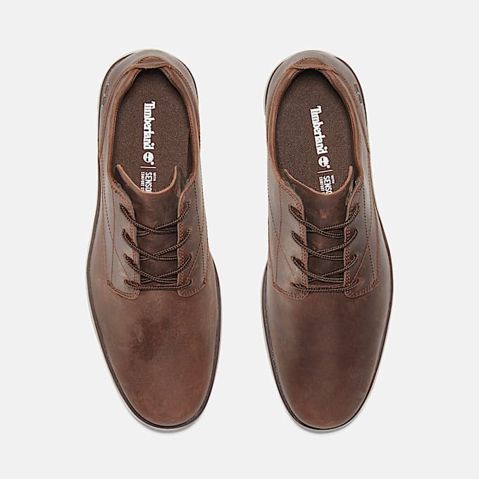 Bradstreet Low Lace-Up Trainer for Men in Dark Brown