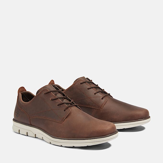 Bradstreet Low Lace-Up Trainer for Men in Dark Brown