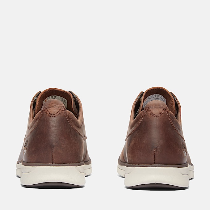 Bradstreet Low Lace-Up Trainer for Men in Dark Brown