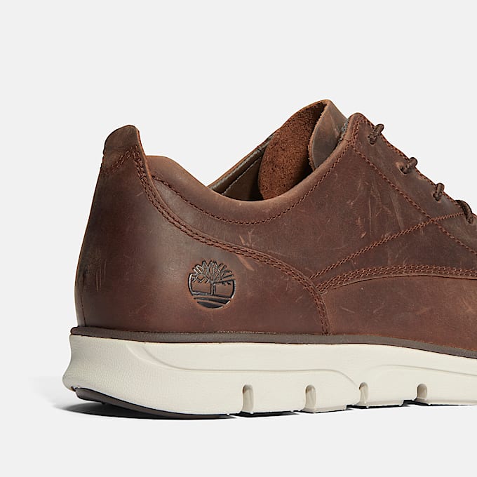 Bradstreet Low Lace-Up Trainer for Men in Dark Brown