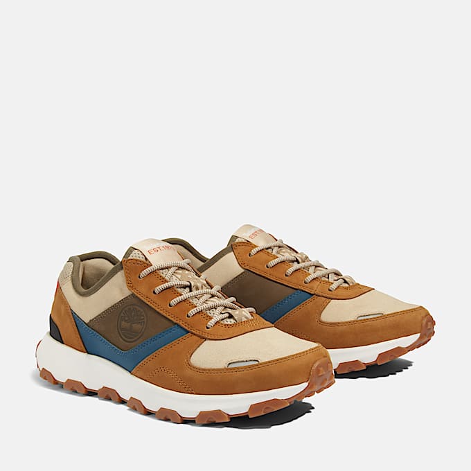 Winsor Park Low Lace Up Trainer for Men in Brown